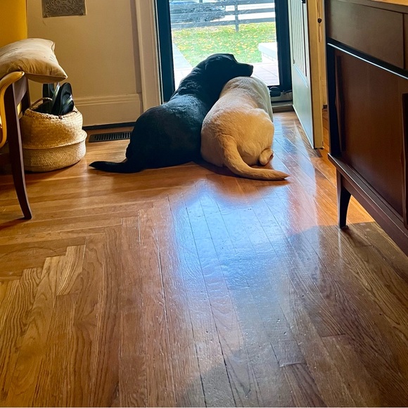 Meet your Posher, Pam - Picture 5 of 16